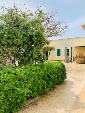 Hotels in Marinella